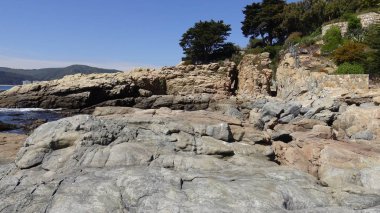 Manzara, kayalık plaj ve sahil