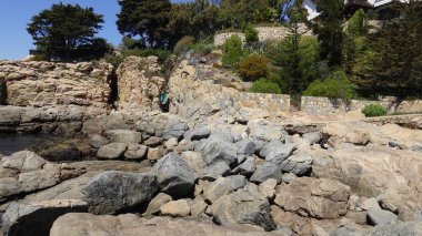 Manzara, kayalık plaj ve sahil