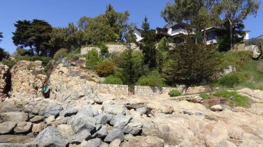 Manzara, kayalık plaj ve sahil