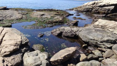 Manzara, kayalık plaj ve sahil