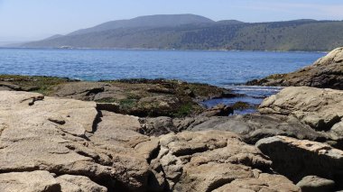 Manzara, kayalık plaj ve sahil