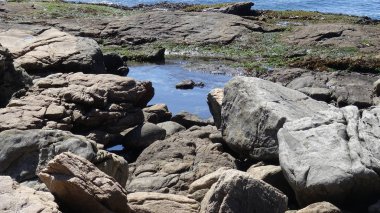 Manzara, kayalık plaj ve sahil