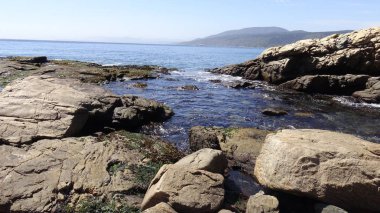 Manzara, kayalık plaj ve sahil