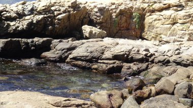 Manzara, kayalık plaj ve sahil