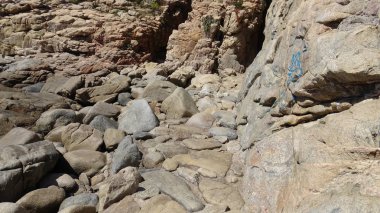 Manzara, kayalık plaj ve sahil