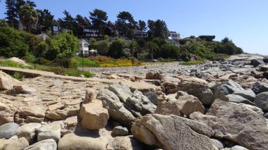 Manzara, kayalık plaj ve sahil