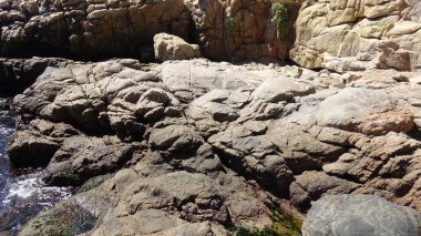 Manzara, kayalık plaj ve sahil