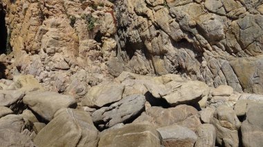 Manzara, kayalık plaj ve sahil