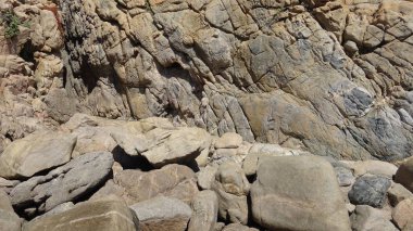 Manzara, kayalık plaj ve sahil