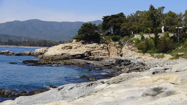 Pelikan ve bir plajda martıları