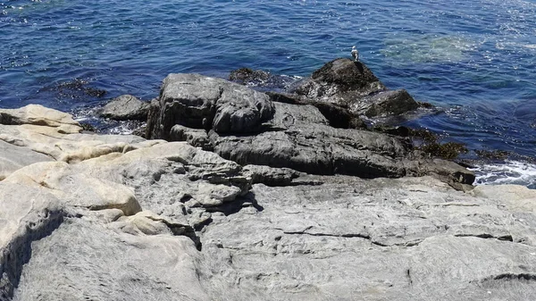 Landscape Rocky Beach — Stock Photo, Image