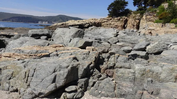 Manzara, kayalık plaj ve sahil