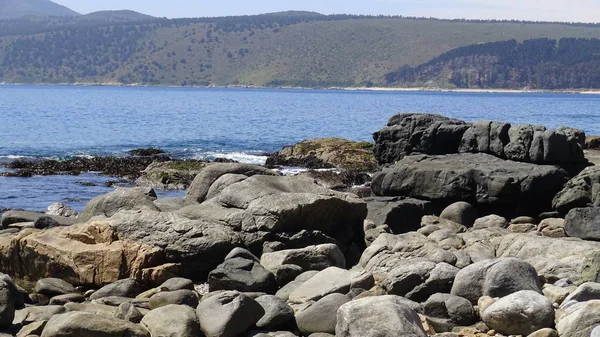 Manzara, kayalık plaj ve sahil