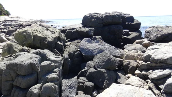 Manzara, kayalık plaj ve sahil