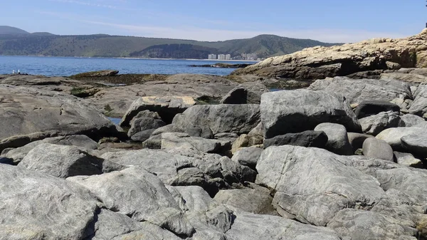 Manzara, kayalık plaj ve sahil