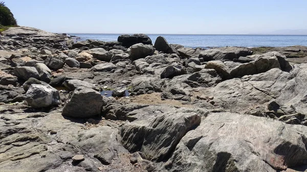 Manzara, kayalık plaj ve sahil