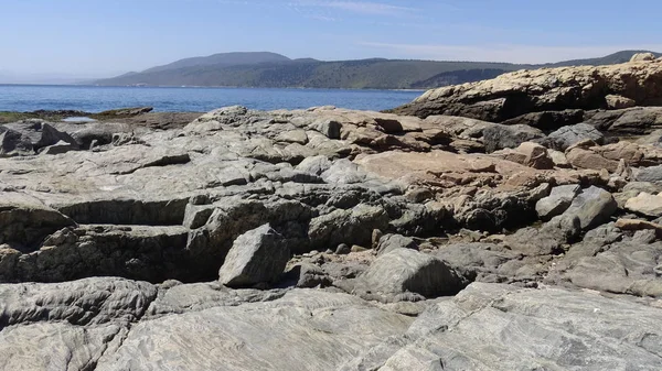 Manzara, kayalık plaj ve sahil