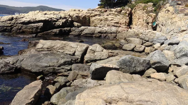 Manzara, kayalık plaj ve sahil