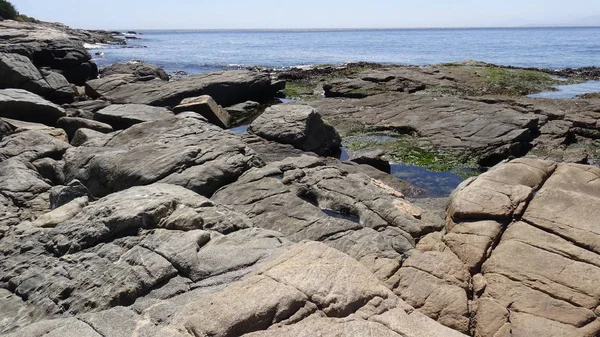 Landscape Rocky Beach Seaside — Stock Photo, Image