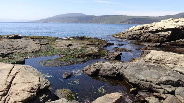 Manzara, kayalık plaj ve sahil