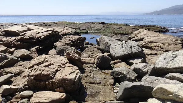 Manzara, kayalık plaj ve sahil