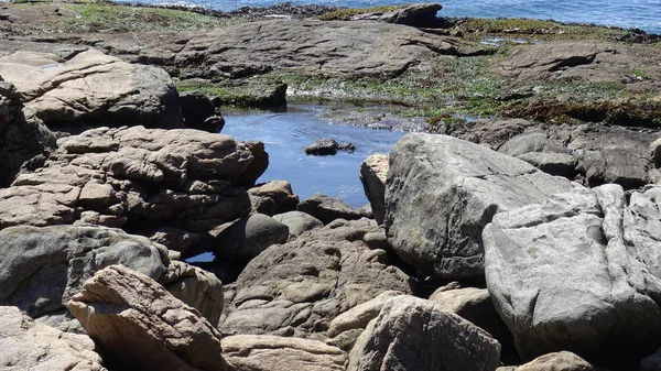 Manzara, kayalık plaj ve sahil