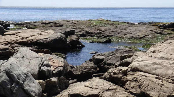 Manzara, kayalık plaj ve sahil