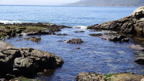 Manzara, kayalık plaj ve sahil