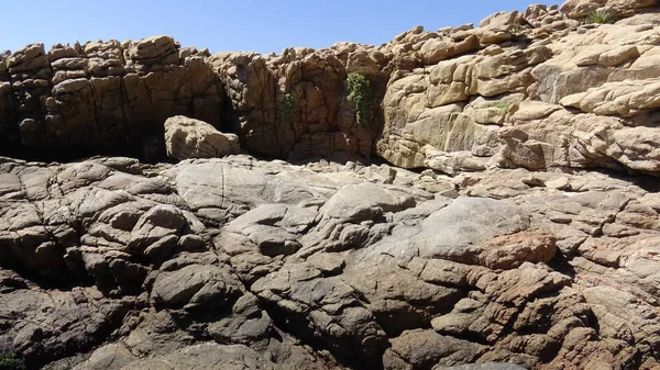 Manzara, kayalık plaj ve sahil