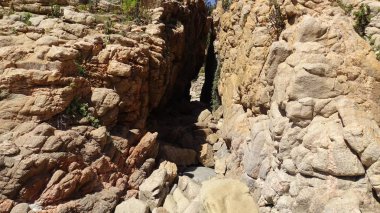 Manzara, kayalık plaj ve sahil