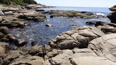 Manzara, kayalık plaj ve sahil