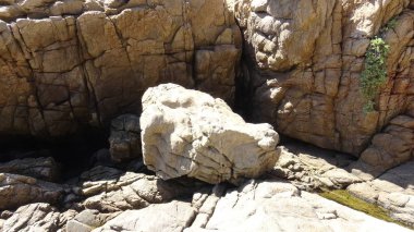 Manzara, kayalık plaj ve sahil