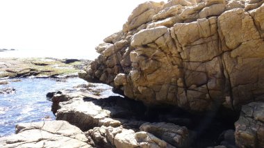 Manzara, kayalık plaj ve sahil