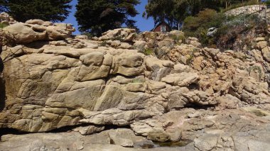 Manzara, kayalık plaj ve sahil