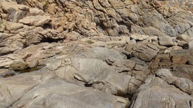 Manzara, kayalık plaj ve sahil