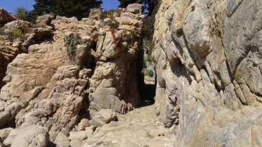 Manzara, kayalık plaj ve sahil