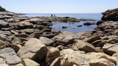 Manzara, kayalık plaj ve sahil