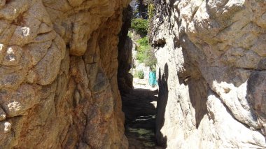 Manzara, kayalık plaj ve sahil