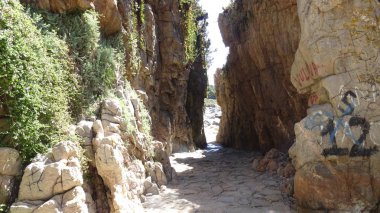 Manzara, kayalık plaj ve sahil