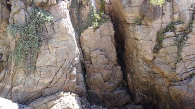 Manzara, kayalık plaj ve sahil