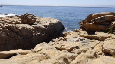 Manzara, kayalık plaj ve sahil