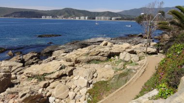 Manzara, kayalık plaj ve sahil
