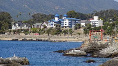 Manzara, kayalık plaj ve sahil