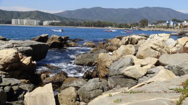 Manzara, kayalık plaj ve sahil