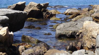 Manzara, kayalık plaj ve sahil