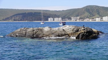 Manzara, kayalık plaj ve sahil