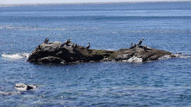 Peyzaj ve kayalık plaj