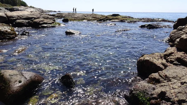 Landscape Rocky Beach Seaside — Stock Photo, Image