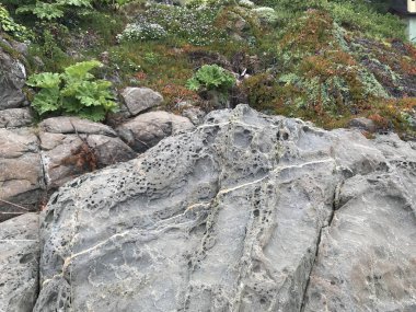 Peyzaj ve kayalık plaj