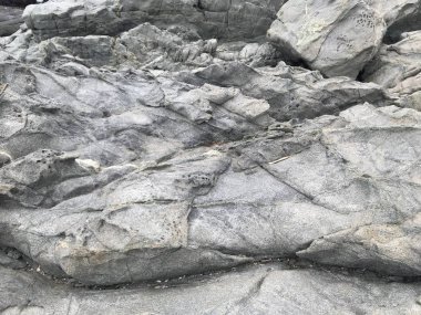 Peyzaj ve kayalık plaj